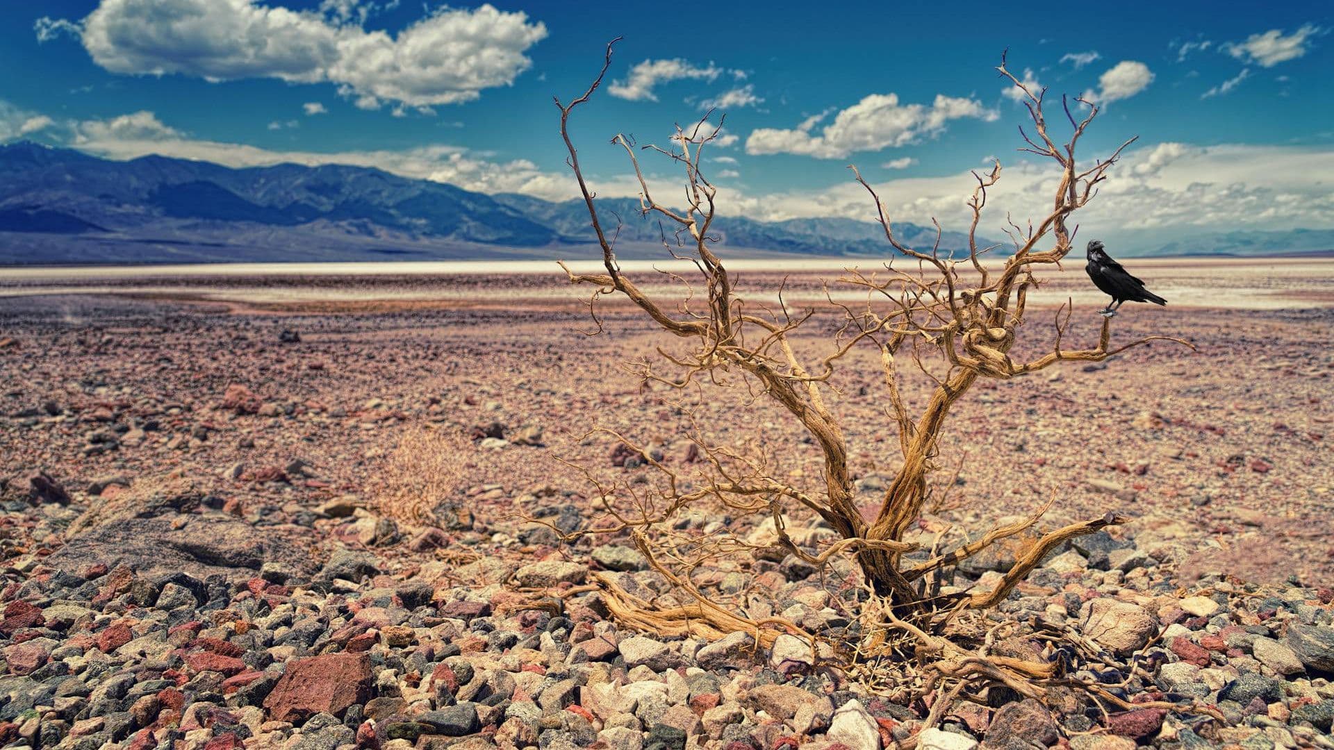 Image by Johannes Plenio from Pexels