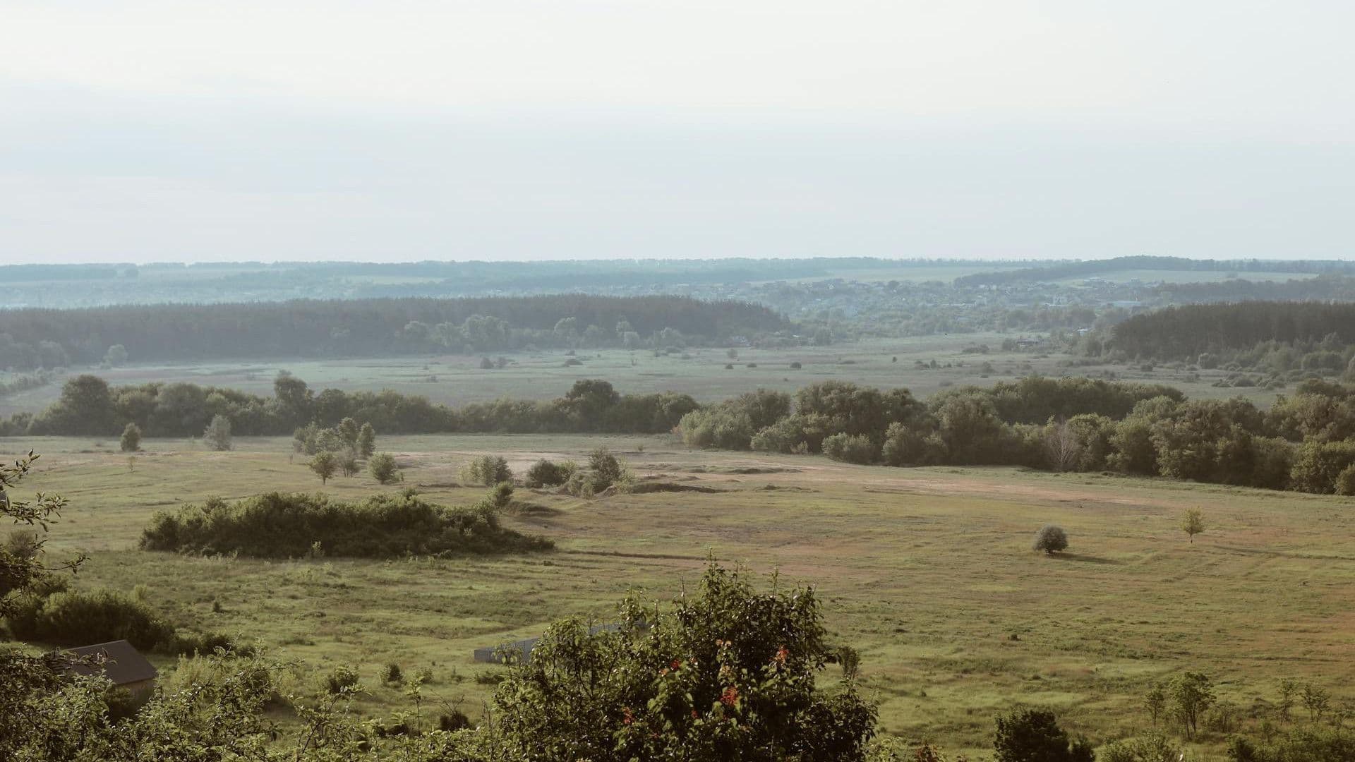 Imagen de Andrii Smuryhin vía Pexels