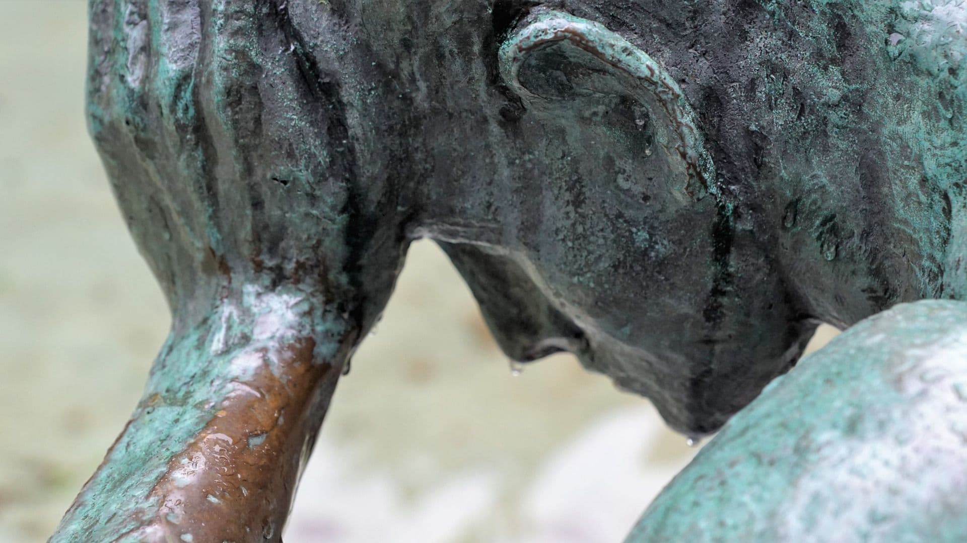 Imagen de photosforyou vía Pixabay