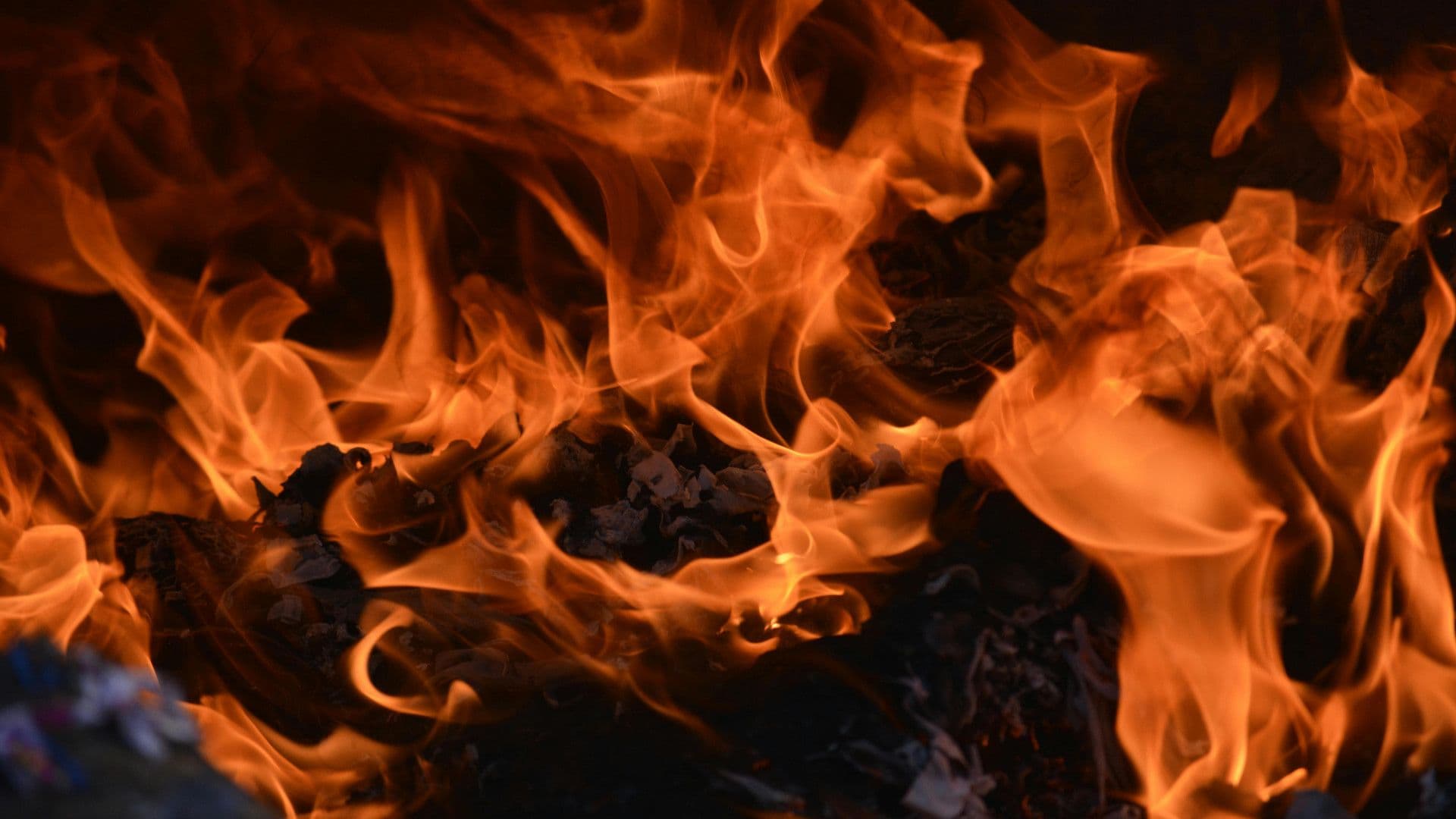 Imagen por Pamoni Photograph via Pexels